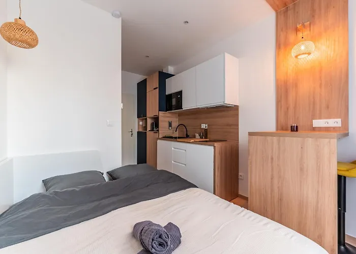 Suite - Strasbourg Gare - Petite France - Commerces A Proximite